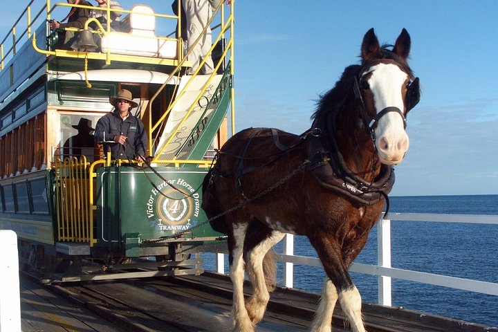 a person riding a horse